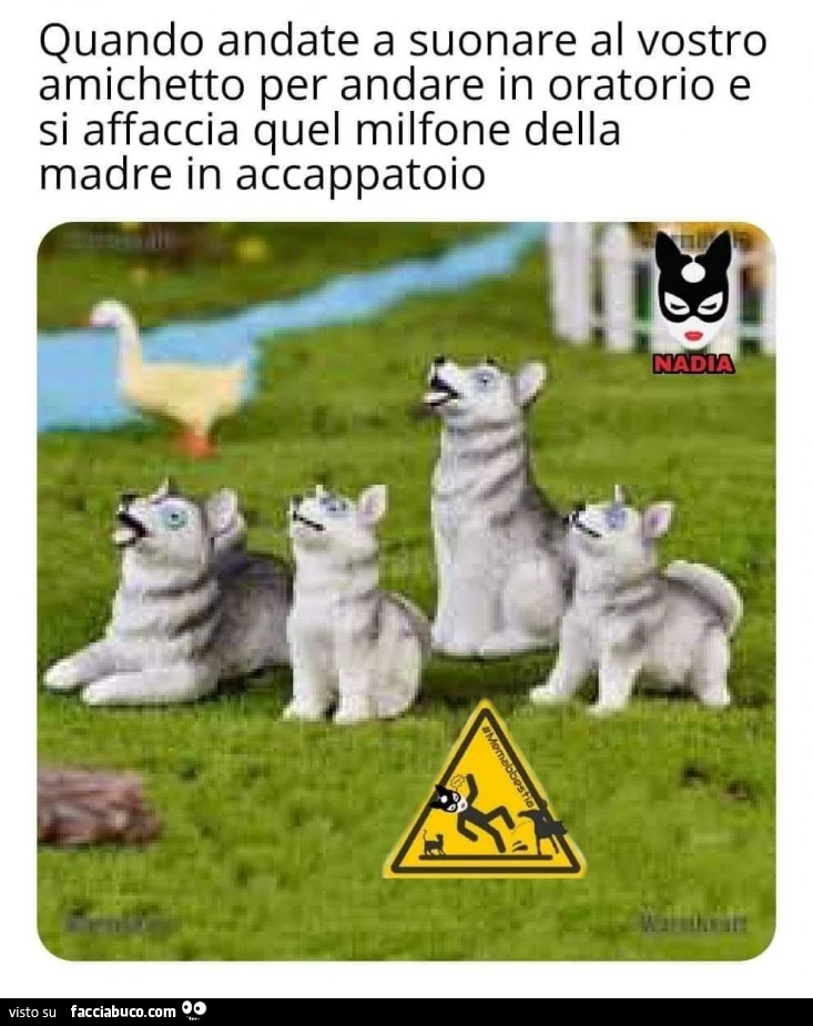 Vaccata