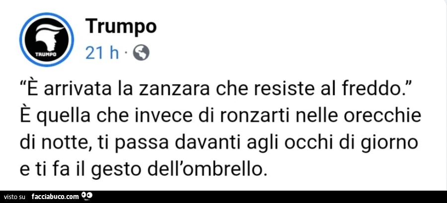 È arrivata la zanzara che resiste al freddo. È Quella che invece di ronzarti nelle orecchie di notte, ti passa davanti agli occhi di giorno e ti fa il gesto dell'ombrello