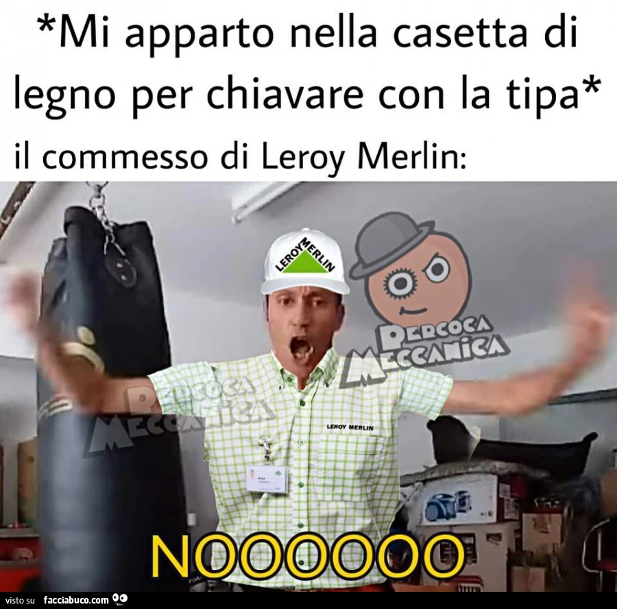 Vaccata