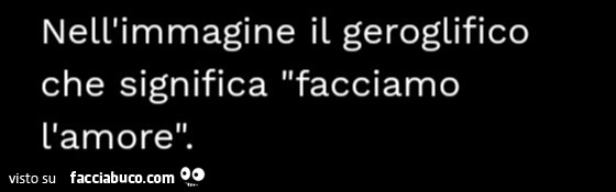 Nell'immagine il geroglifico che significa facciamo l'amore