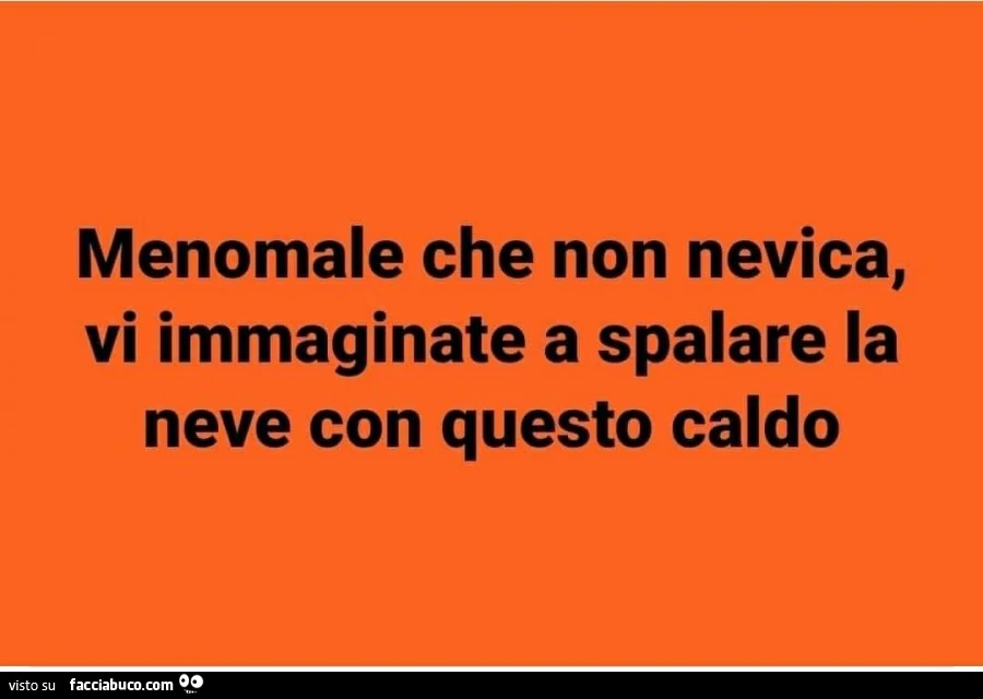 Menomale che non nevica, vi immaginate a spalare la neve con questo caldo