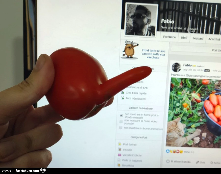 Pomodoro maschio con il pene
