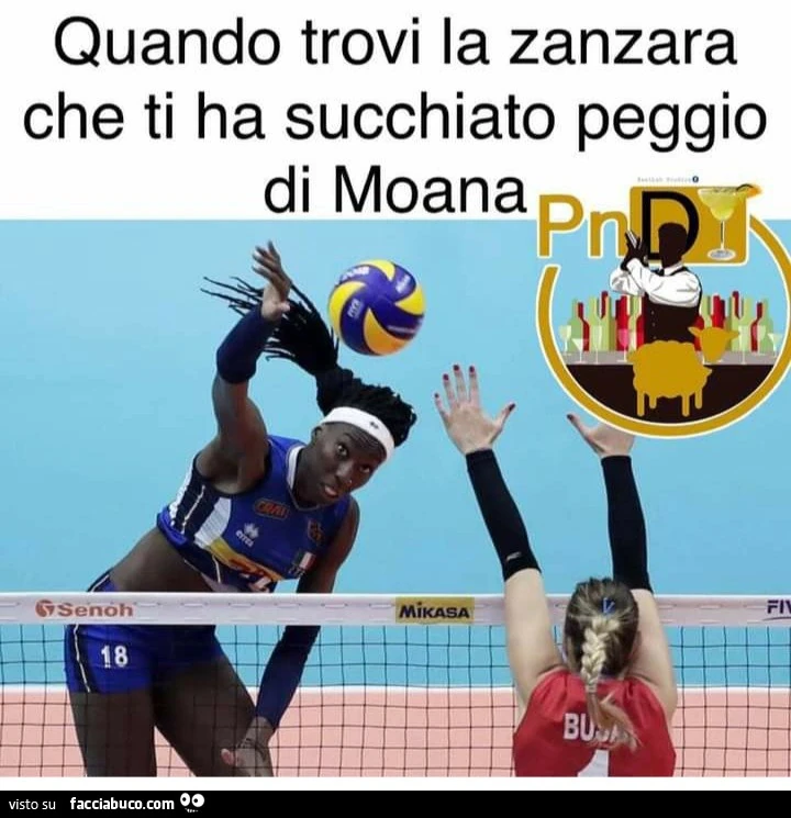 Quando trovi la zanzara che ti ha succhiato