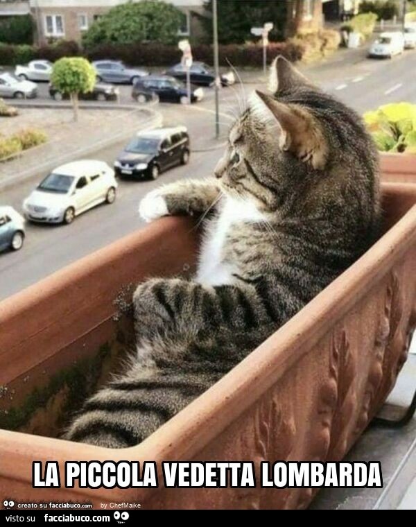 La piccola vedetta lombarda