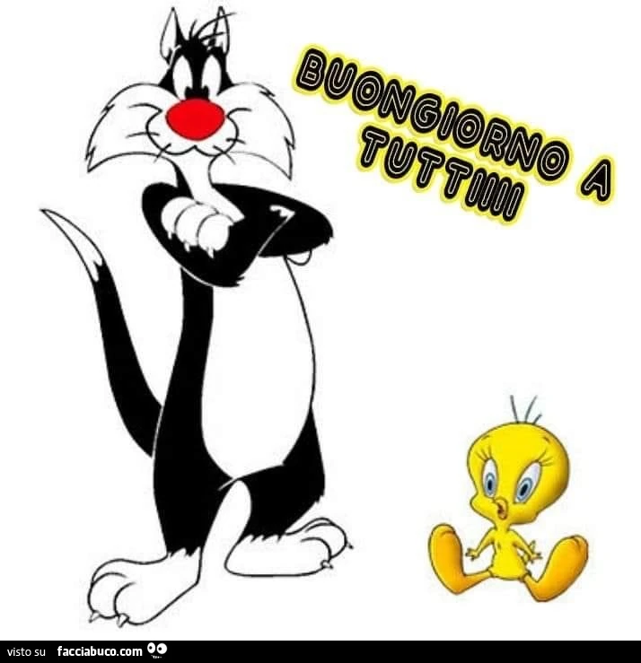 Gato silvestro e titti. Buongiorno a tutti