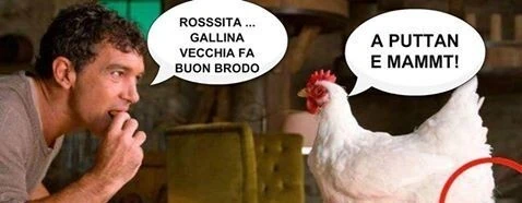 Vaccata