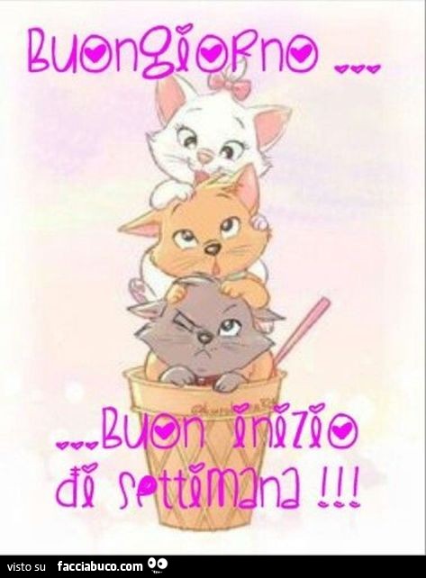 Buongiorno buon inizio di settimana