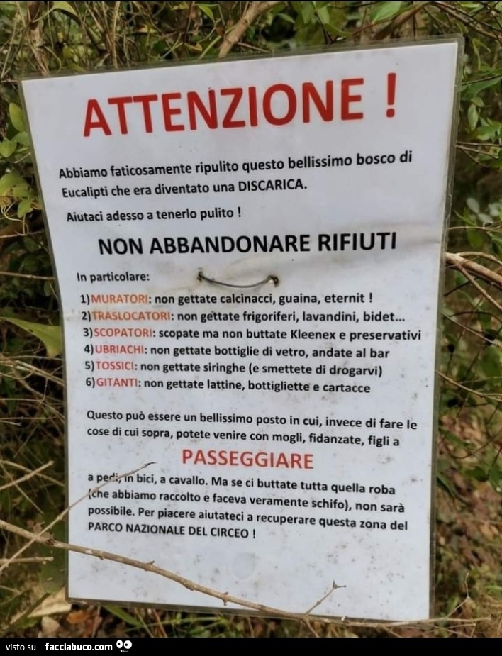 Scopatori