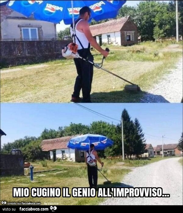 Mio cugino il genio all'improvviso