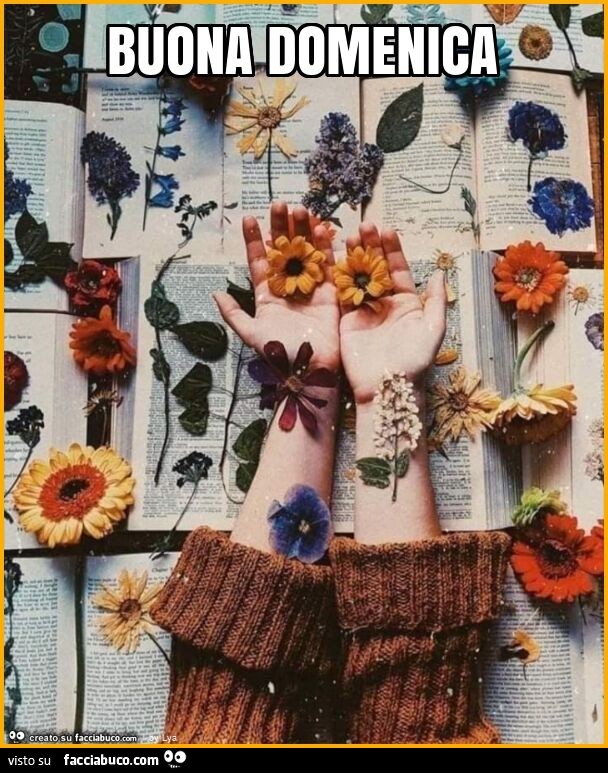 Buona domenica