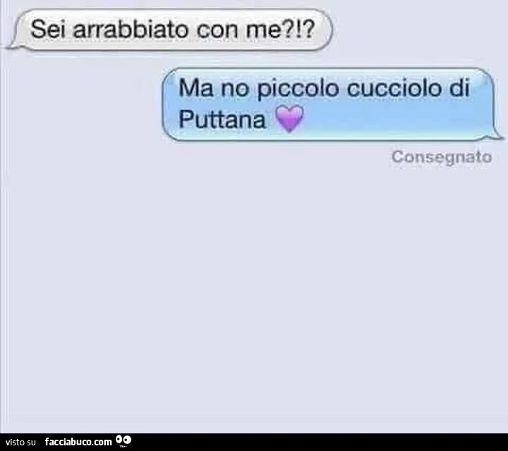 Sei arrabbiato con me?!? Ma no piccolo cucciolo di puttana