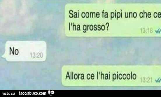 Chat divertenti, sai come pipì uno che ce l'ha grosso? No allora ce l'hai piccolo