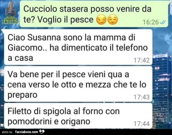 Vaccata