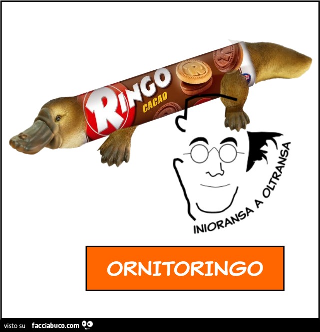 Ornitoringo