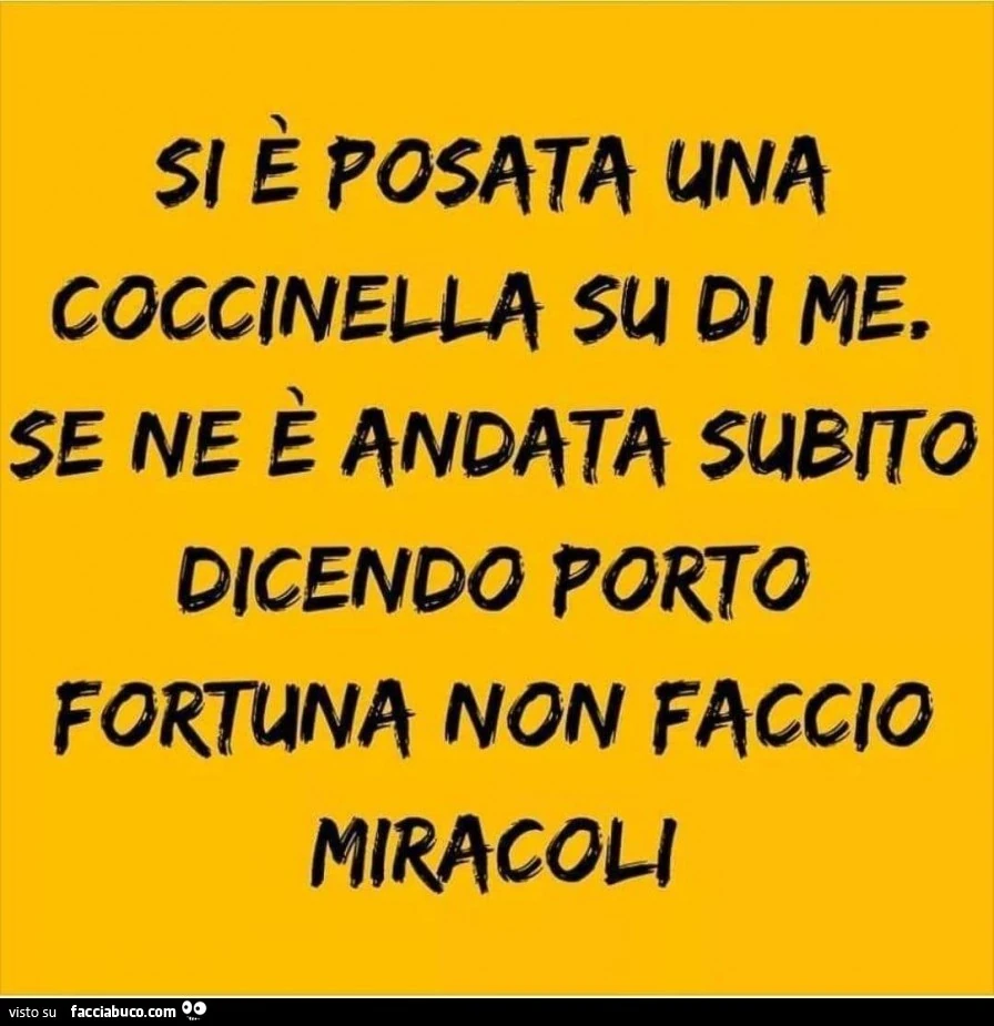 Si è posata una coccinella su di me, se ne è andata subito dicendo porto fortuna non faccio miracoli