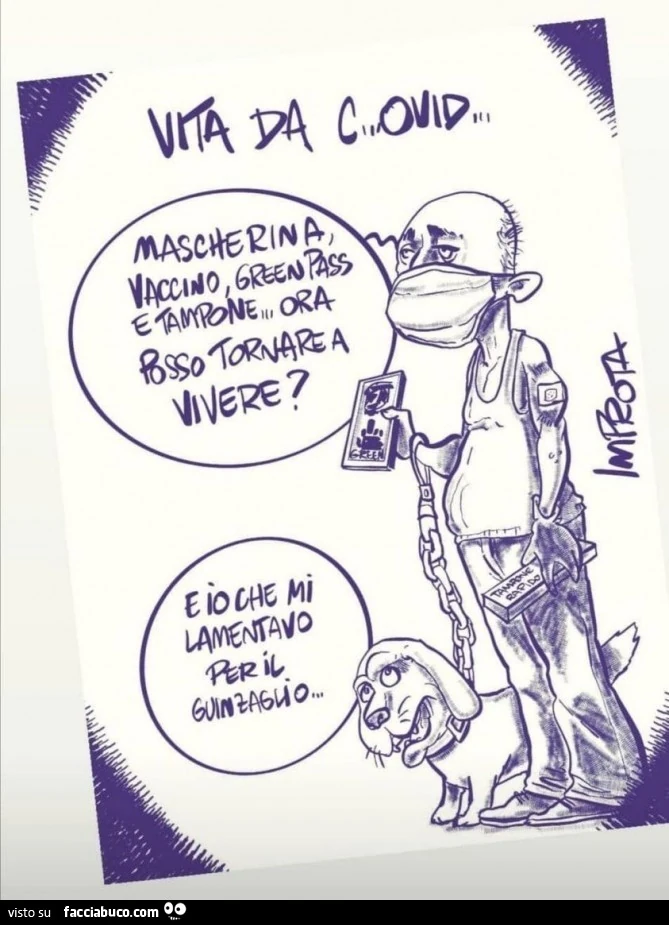 Vita da Covid. Mascherina, vaccino, greenpass e tampone. Ora posso tornare a vivere?