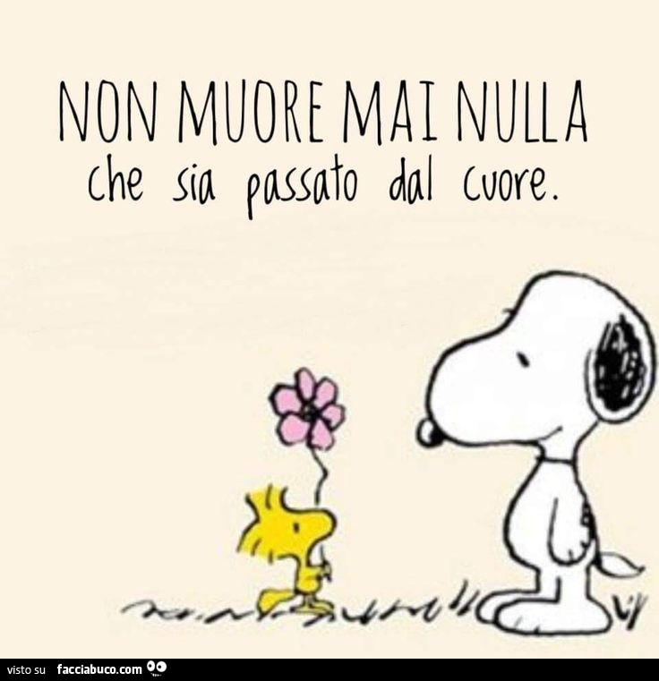 Non muore mai nulla che sia passato dal cuore