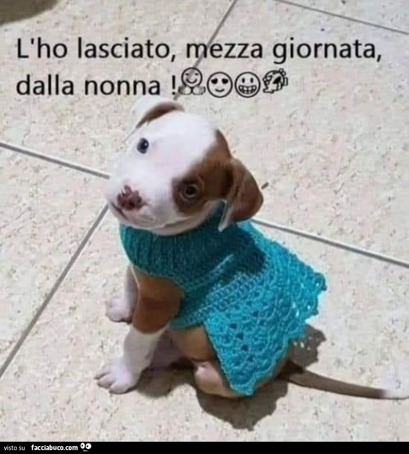 Vaccata