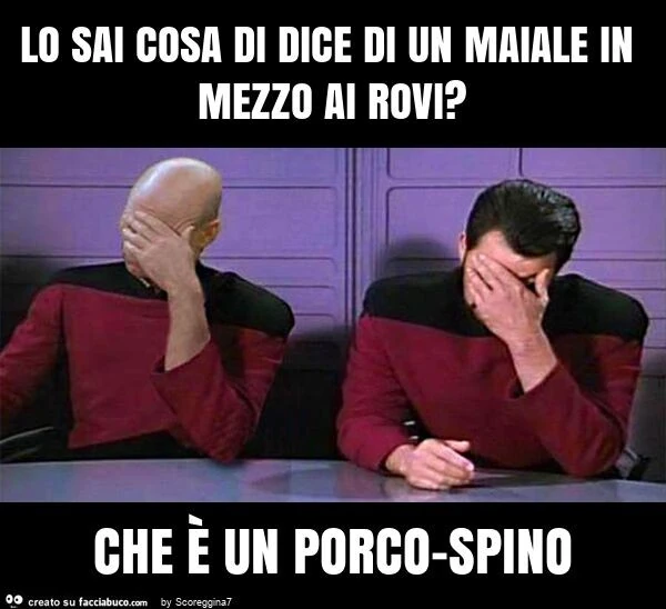 Lo sai cosa di dice di un maiale in mezzo ai rovi? Che è un porco-spino