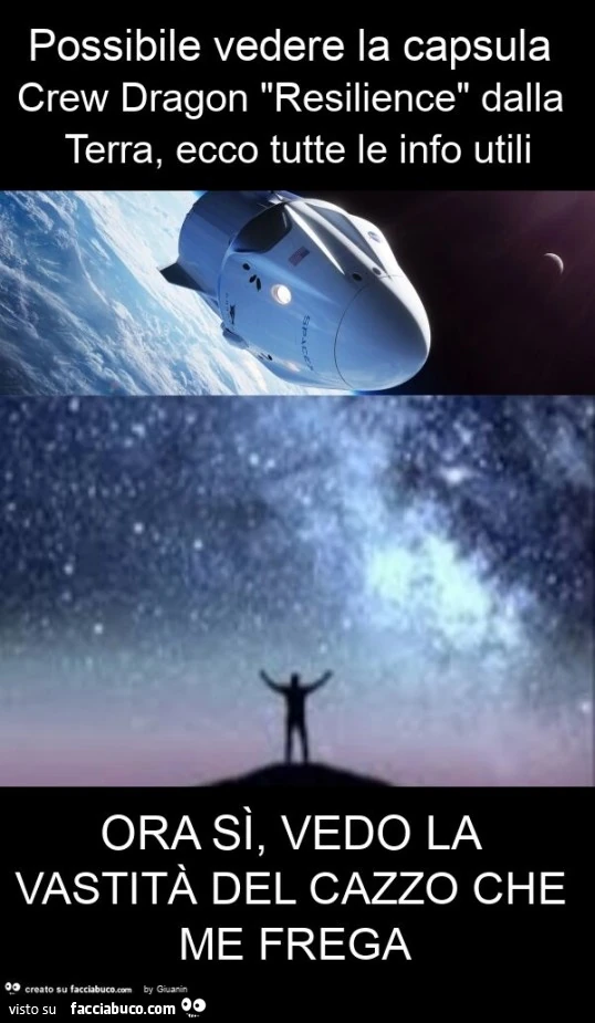 Possibile vedere la capsula crew dragon "resilience" dalla terra, ecco tutte le info utili ora sì, vedo la vastità del cazzo che me frega