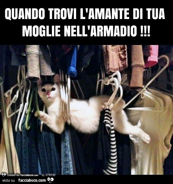 Quando trovi l'amante di tua moglie nell'armadio