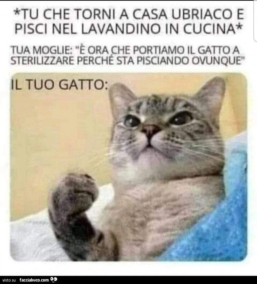 Vaccata