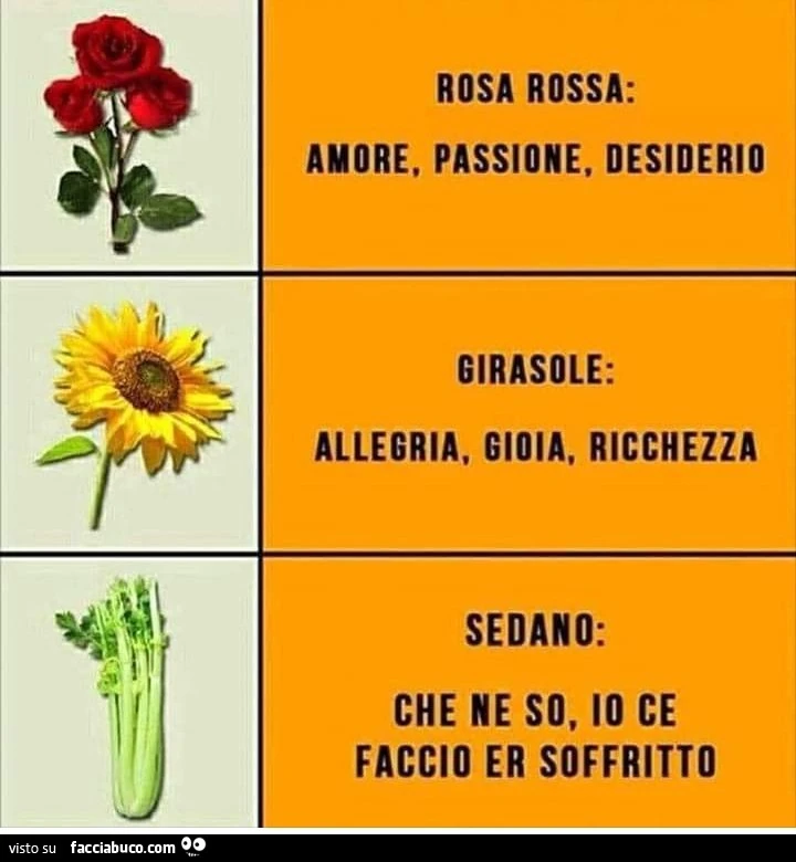 Rosa rossa: amore, passione, desiderio. Girasole: allegria, gioia, ricchezza. Sedano: che ne so io ce faccio er soffritto
