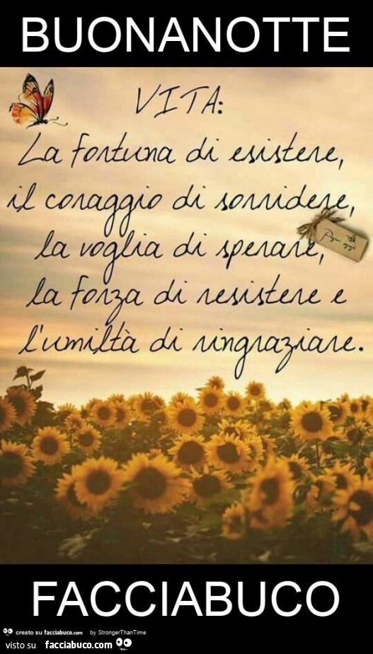 Buonanotte facciabuco