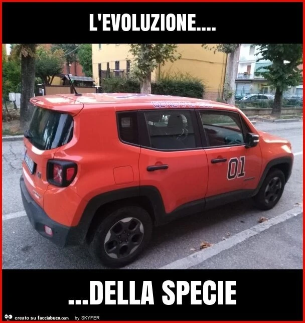 L'evoluzione&hellip; della specie
