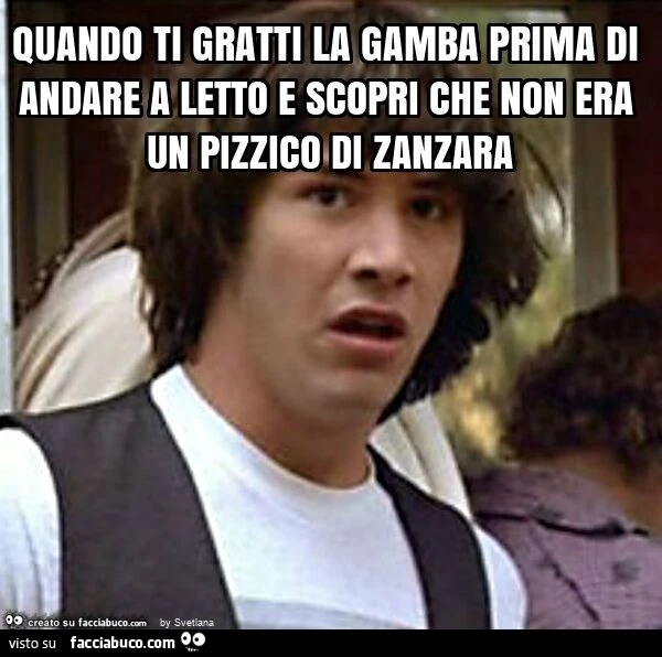 Quando ti gratti la gamba prima di andare a letto e scopri che non era un pizzico di zanzara