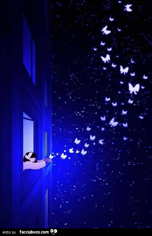 Farfalle luminose fuori dalla finestra