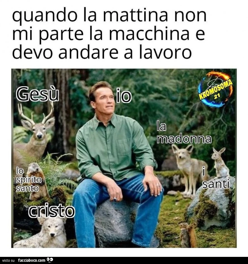 Vaccata