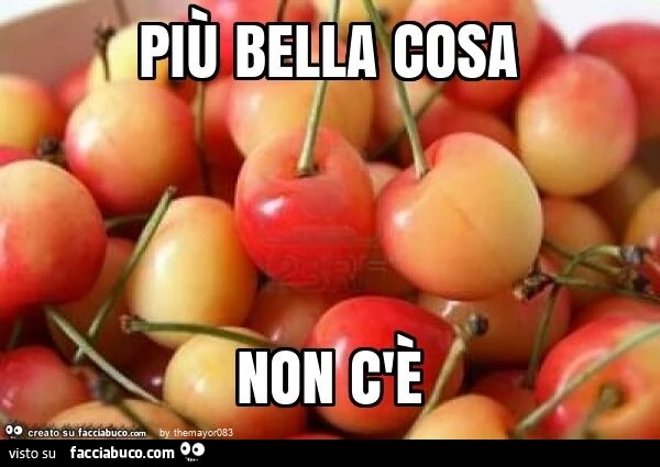 Più bella cosa non c'è