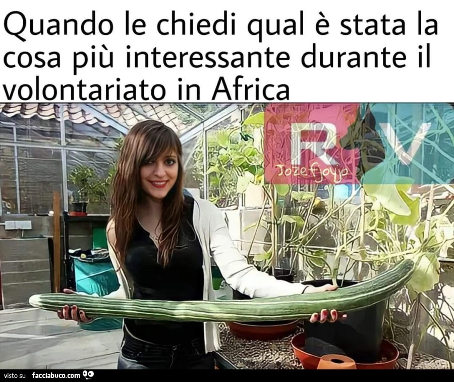 Vaccata