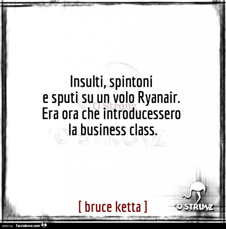 Insulti, spintoni e sputi su un volo ryanair. Era ora che introducessero la business class