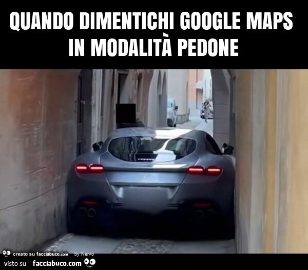 Quando dimentichi google maps in modalità pedone