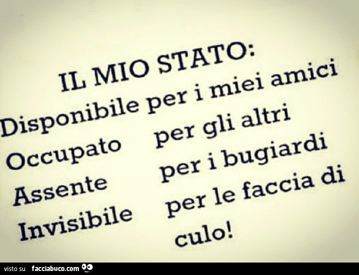 Il mio stato disponibile per i miei amici occupato per gli altri assente per i bugiardi invisibile per le facce di culo