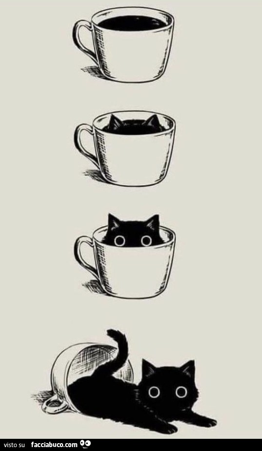 Gatto nero nella tazza di caffè