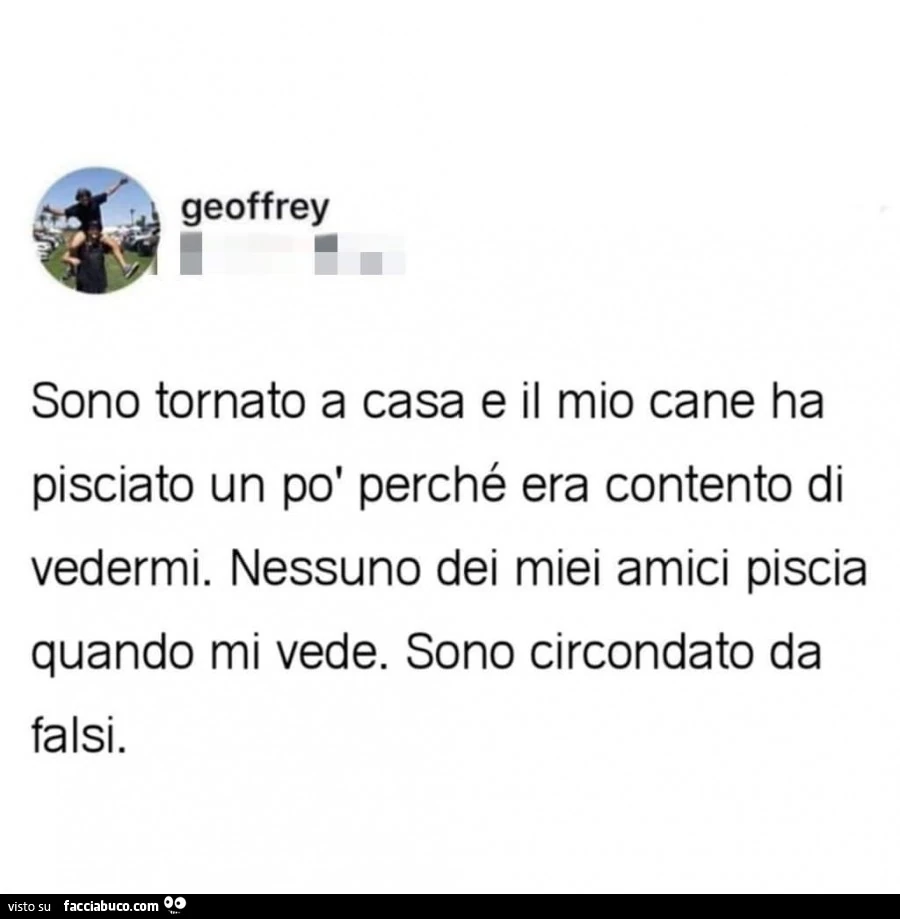 Sono tornato a casa e il mio cane ha pisciato un po' perché era contento di vedermi. Nessuno dei miei amici piscia quando mi vede. Sono circondato da falsi