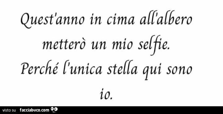 Quest'anno in cima all'albero metterò un mio selfie. Perché l'unica stella qui sono io