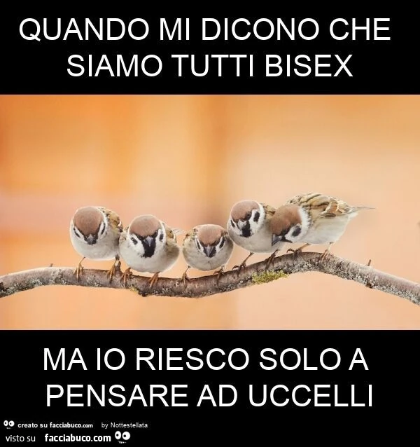 Quando mi dicono che siamo tutti bisex ma io riesco solo a pensare ad uccelli