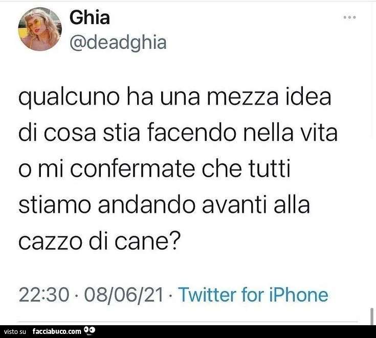 Qualcuno ha una mezza idea di cosa stia facendo nella vita o mi confermate che tutti stiamo andando avanti alla cazzo di cane?