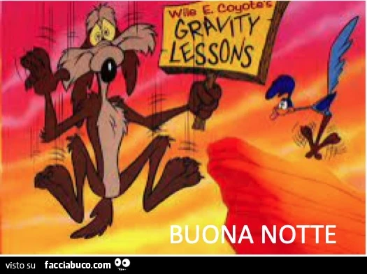 Wile E Coyote Gravity Lessons. Buona notte