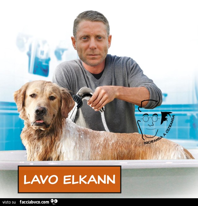 Lavo Elkann