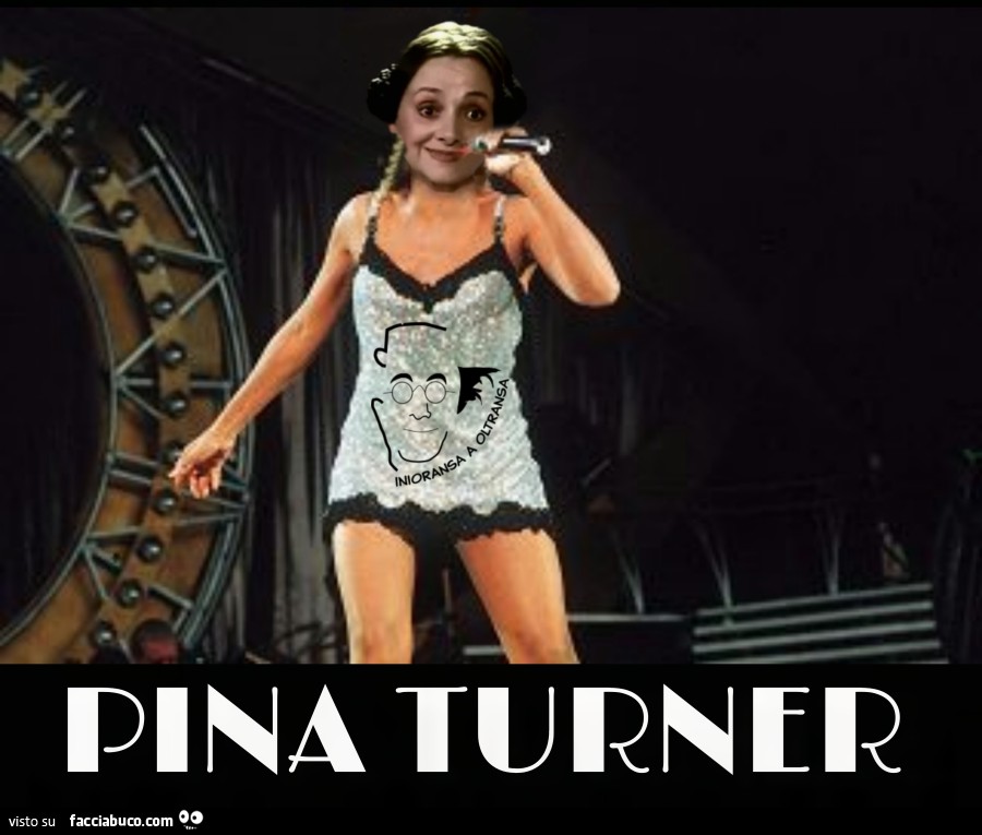 Pina Turner Simply the Best