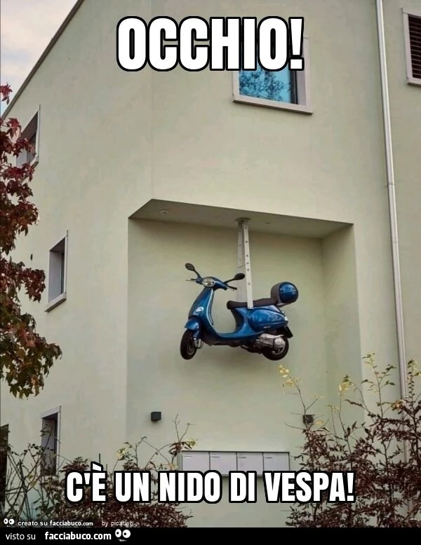 Occhio! C'è un nido di vespa