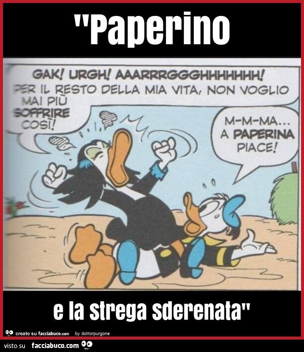 "paperino e la strega sderenata"
