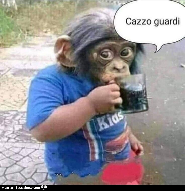 Bimbo scimmia: cazzo guardi