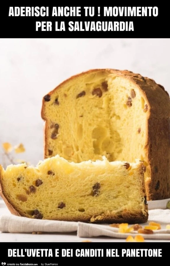 Aderisci anche tu! Movimento per la salvaguardia dell'uvetta e dei canditi nel panettone
