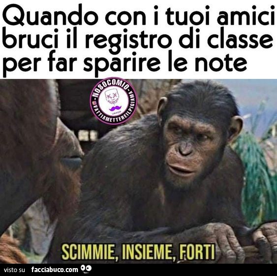 Quando con i tuoi amici bruci il registro di classe per far sparire le note. Scimmie, insieme forti
